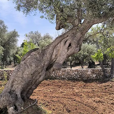Villa L'ulivo Ritorto *