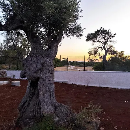 L'ulivo Ritorto فيلة *