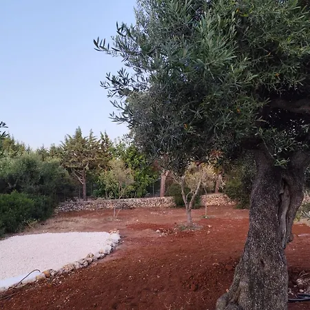 L'ulivo Ritorto Villa *