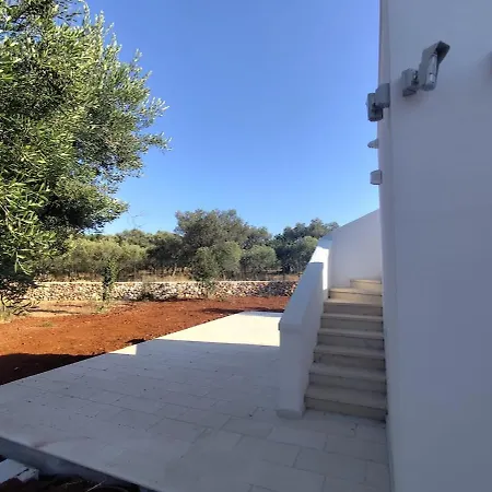 L'ulivo Ritorto Ostuni