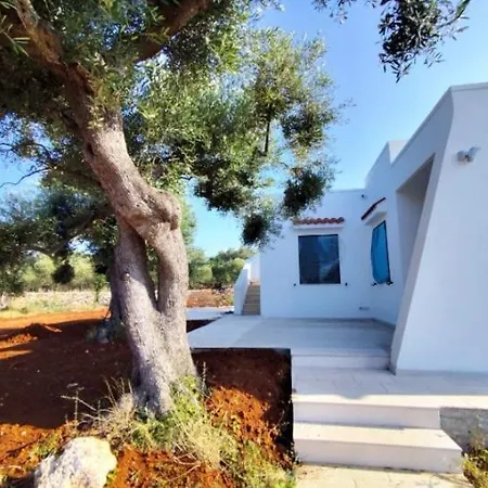 L'ulivo Ritorto * Ostuni