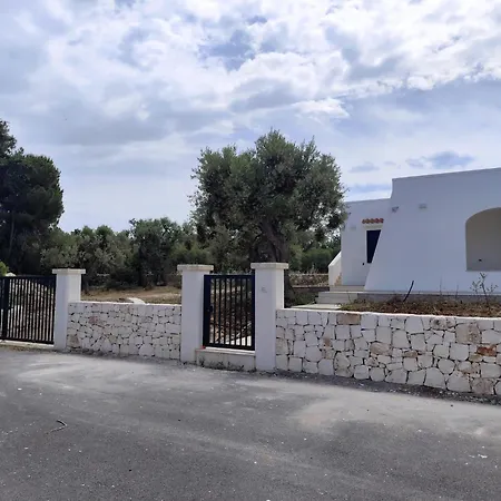 L'ulivo Ritorto * Ostuni